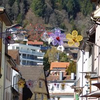 DSCN0163